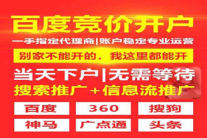 SEM代理操作技巧：成功案例揭秘